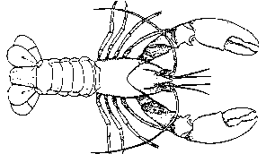 Diagram: Yabby