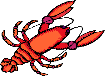 ザリガニ イラスト集 Crayfish Art Gate Way