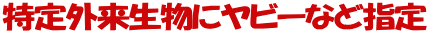 OɃr[Ȃǎw
