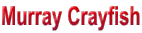 Murray Crayfish